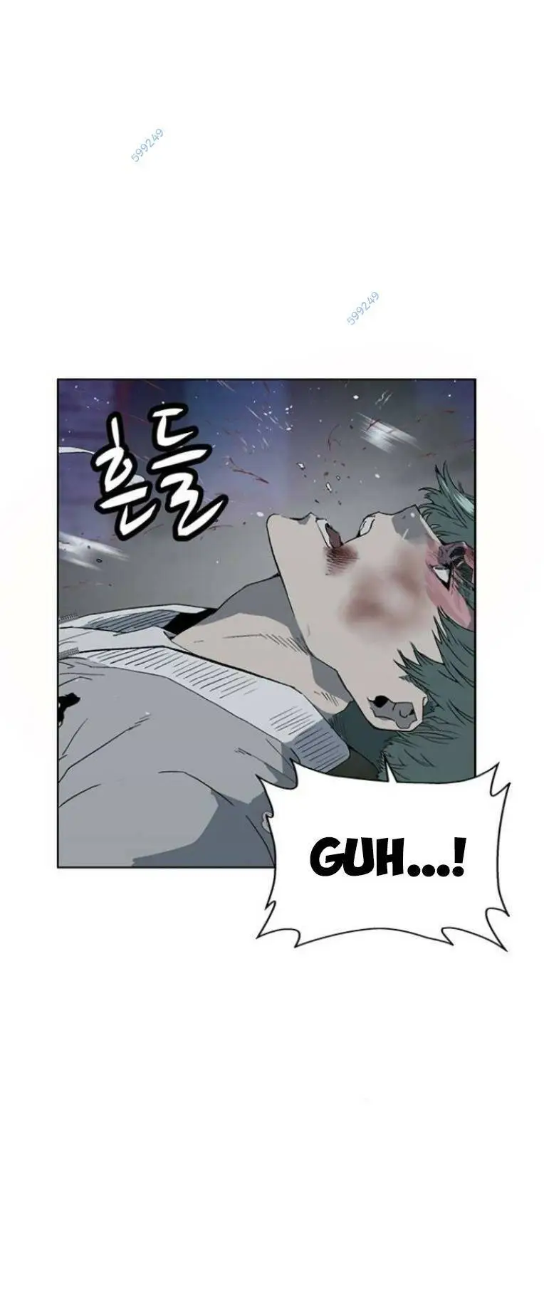 Chapter 239