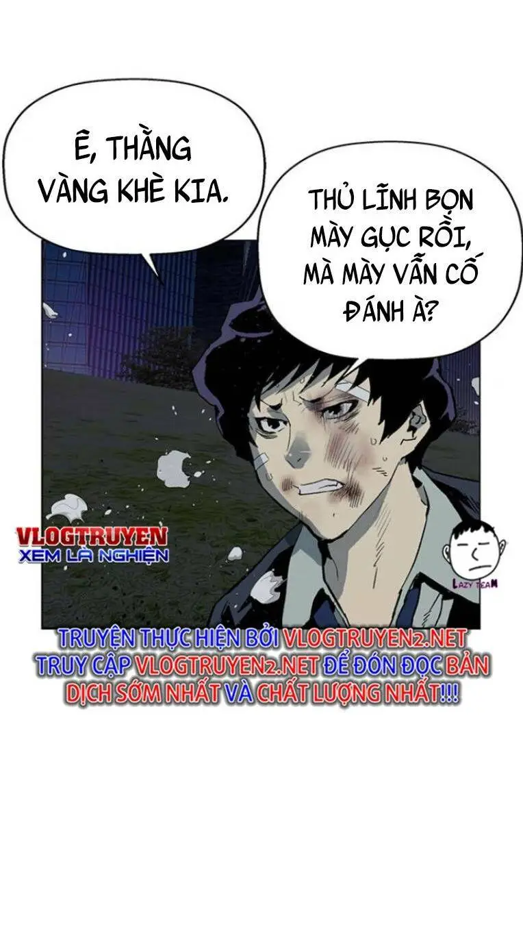 Chapter 239