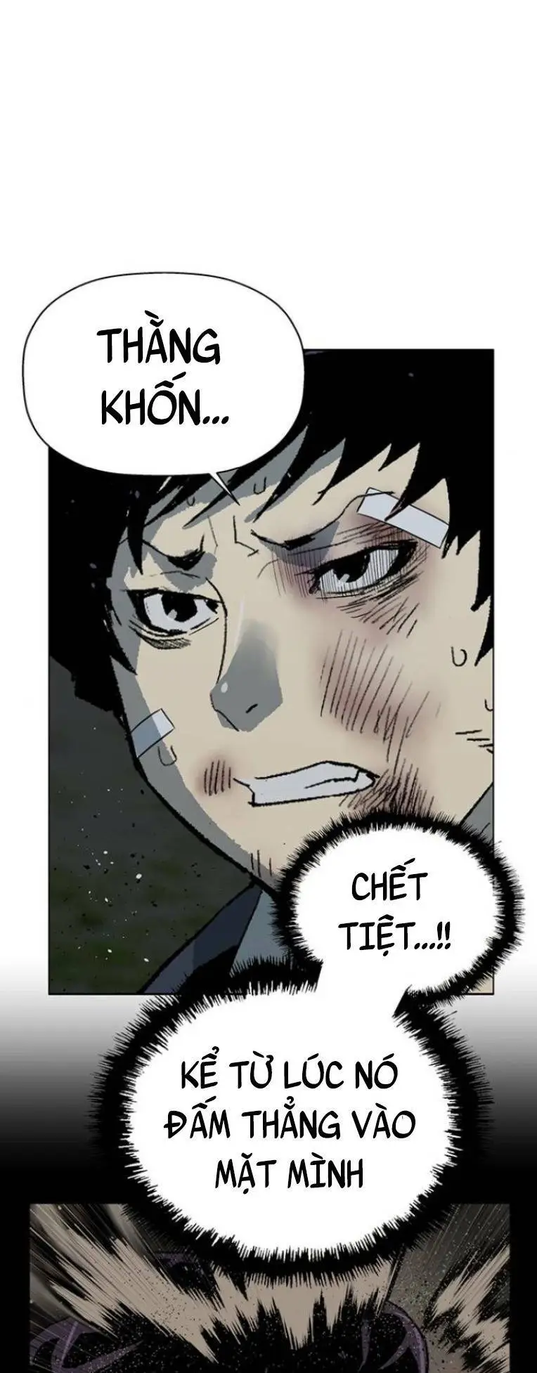 Chapter 239