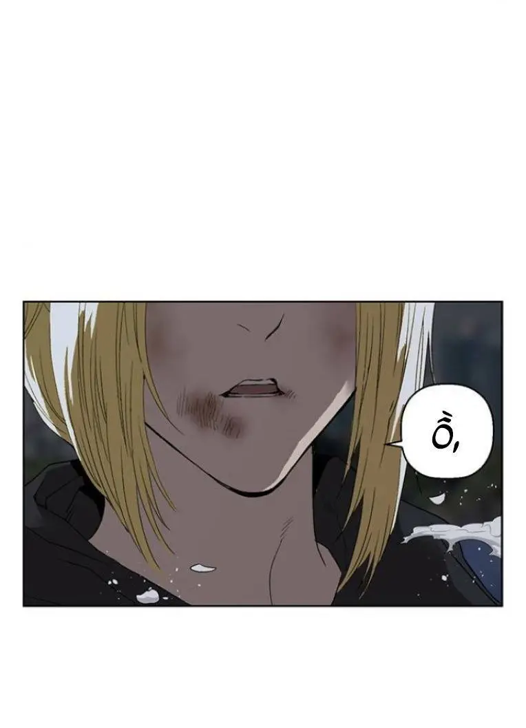 Chapter 239