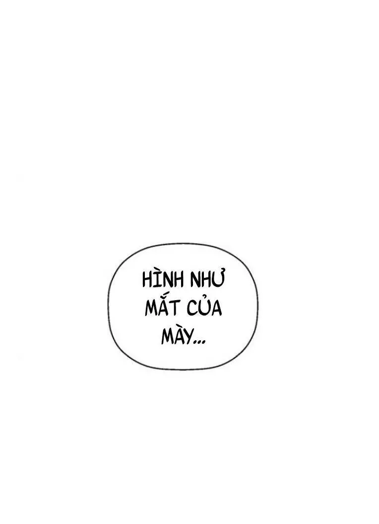 Chapter 239
