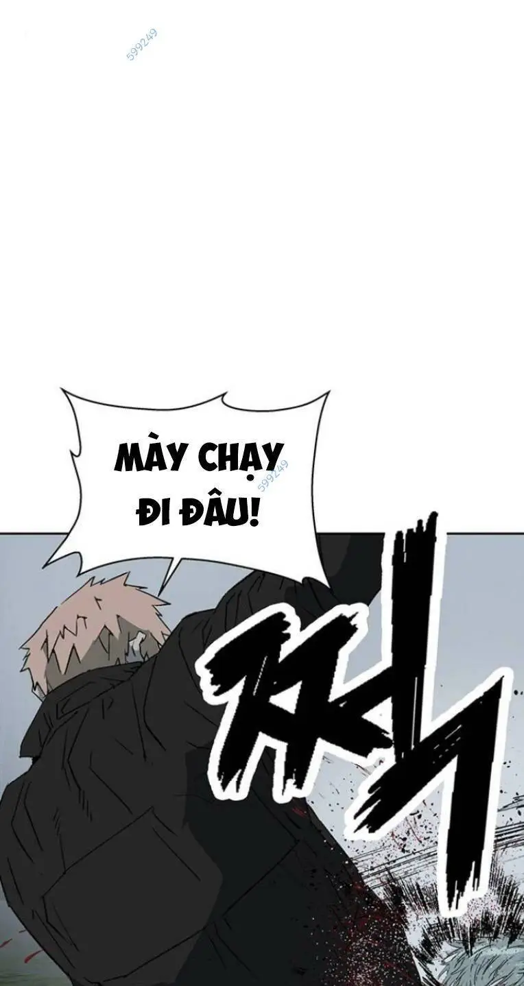 Chapter 239