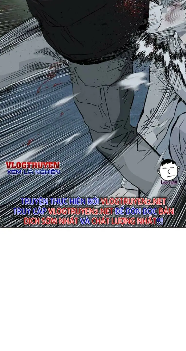 Chapter 239
