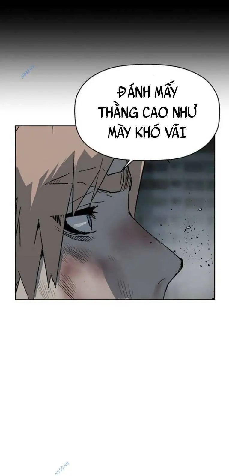 Chapter 239