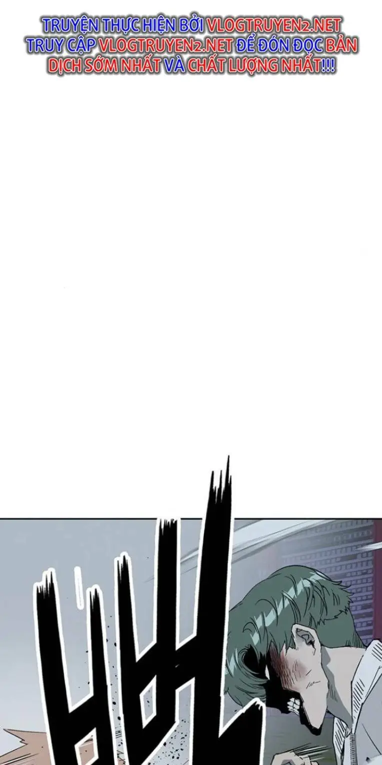 Chapter 239