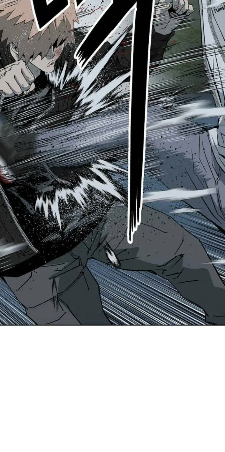 Chapter 239