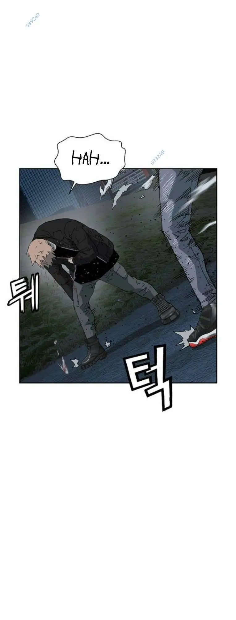 Chapter 239
