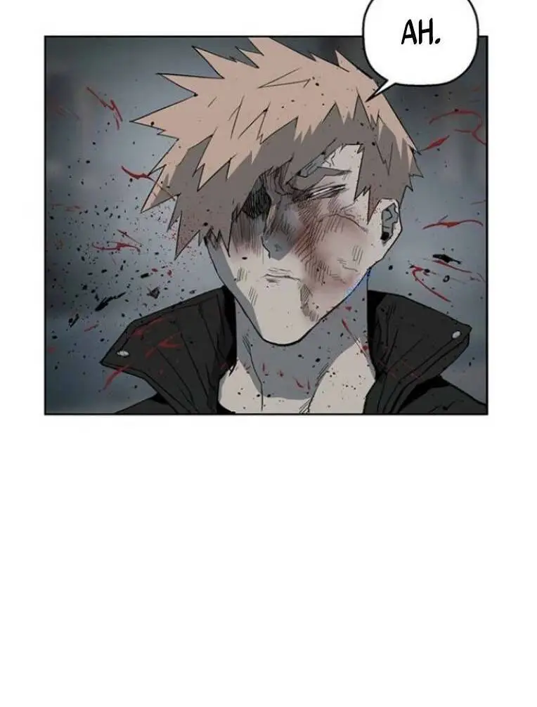 Chapter 239