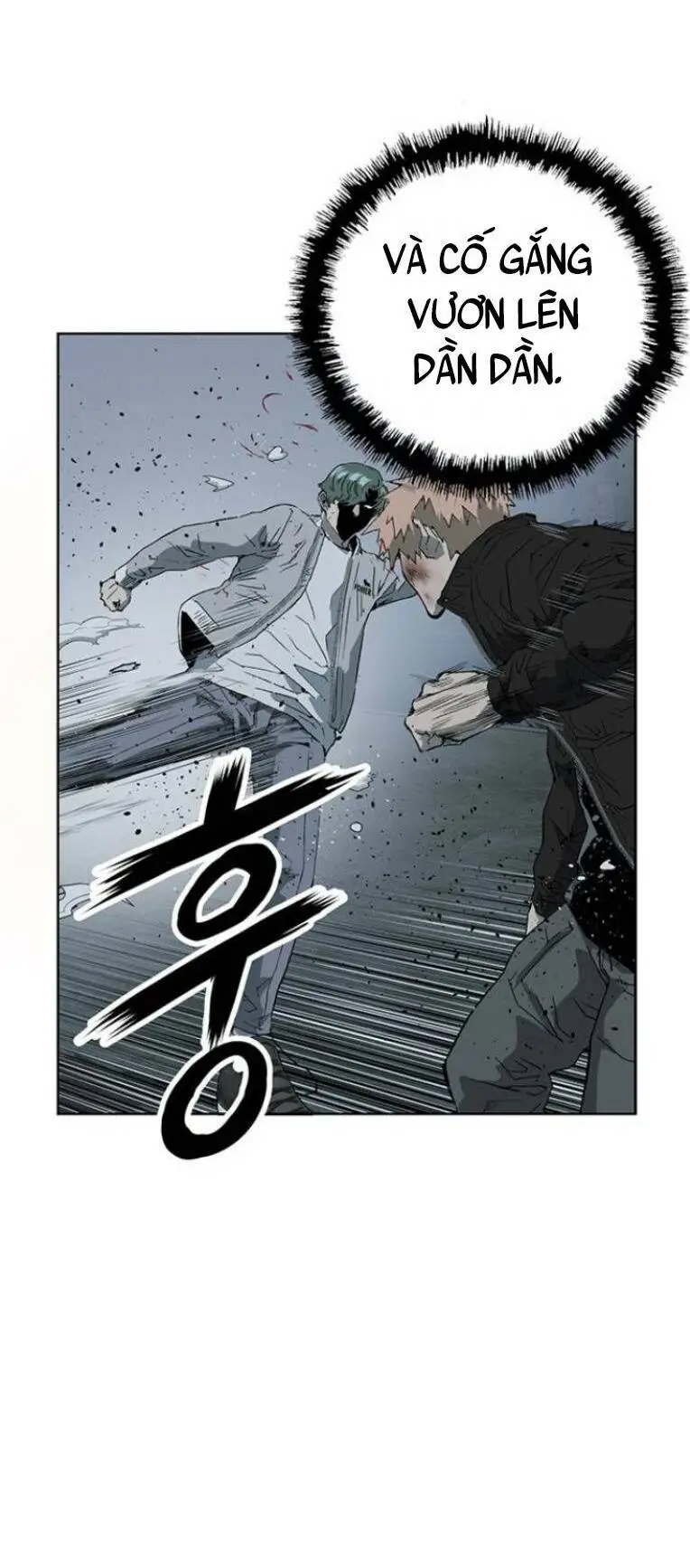 Chapter 239