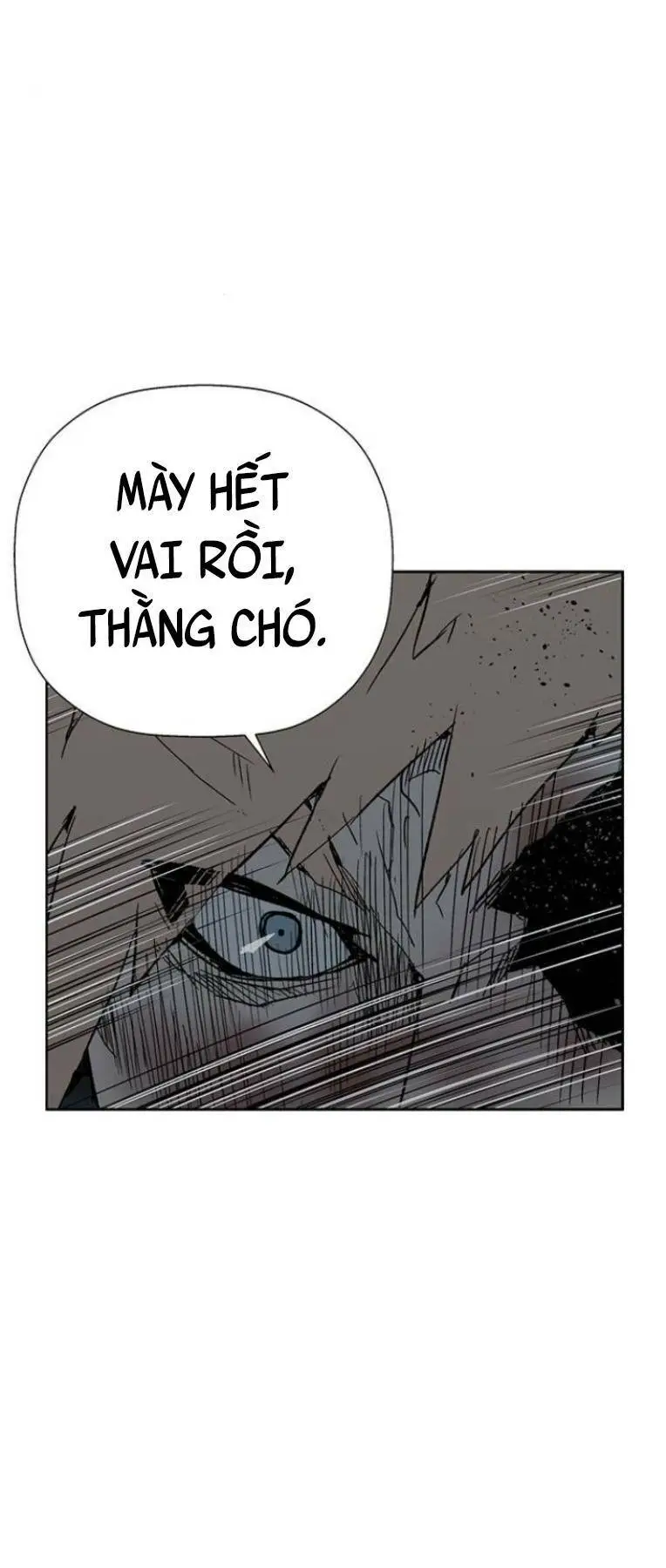 Chapter 239