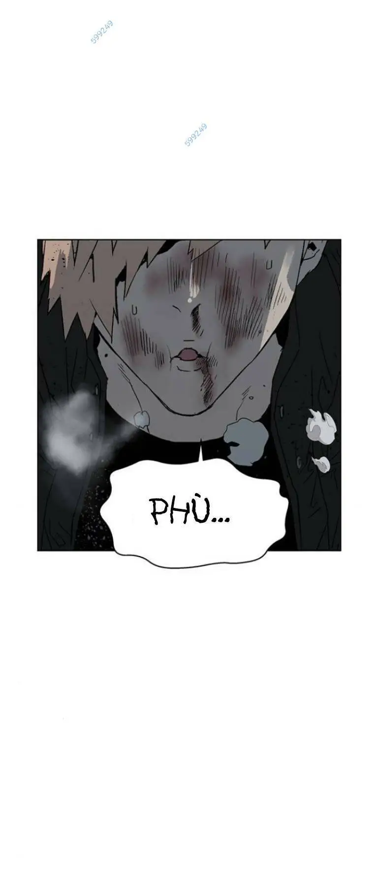 Chapter 239