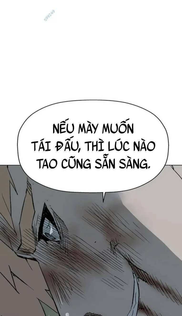 Chapter 239