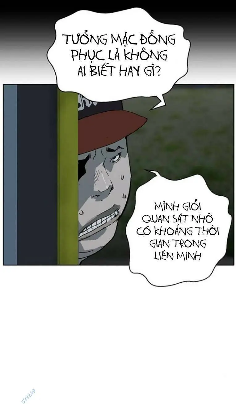 Chapter 239