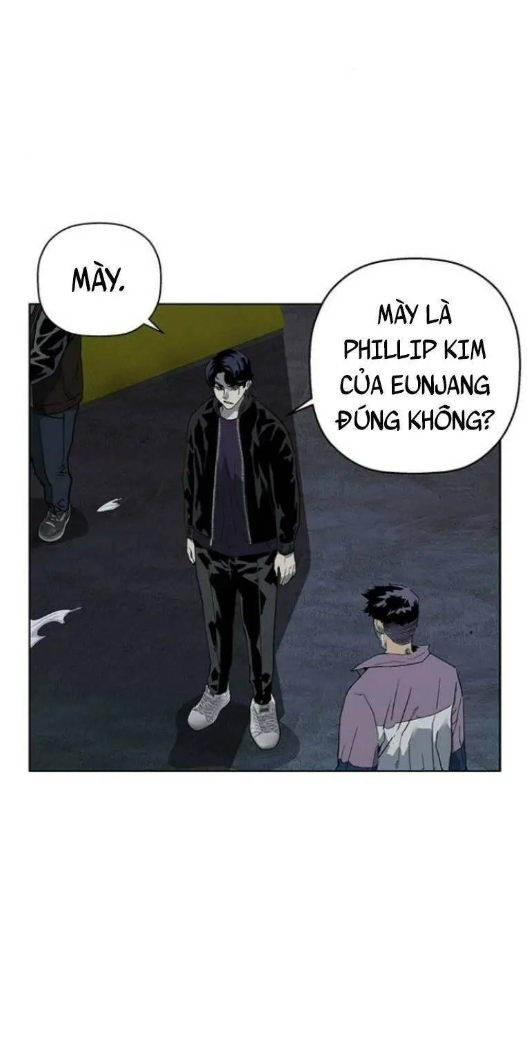 Chapter 239