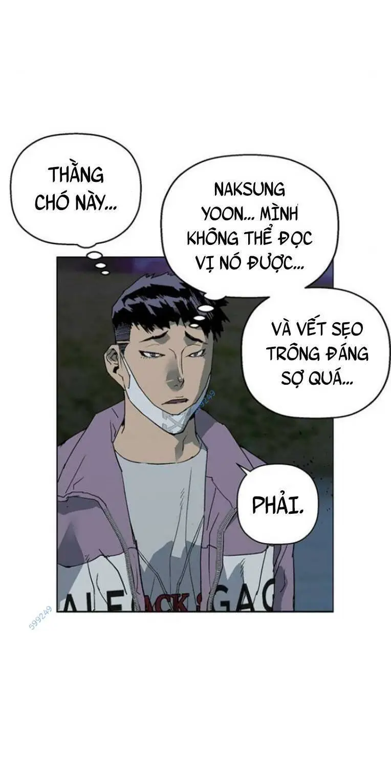 Chapter 239