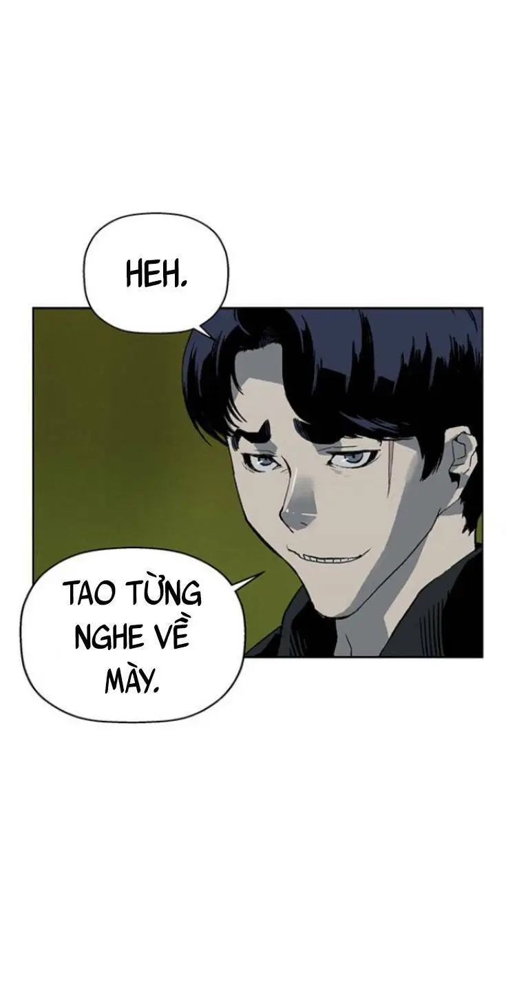 Chapter 239
