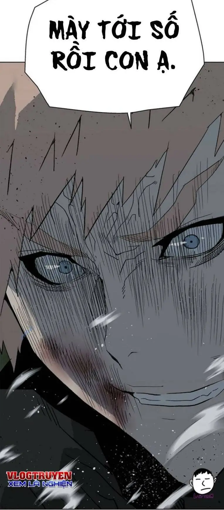 Chapter 239