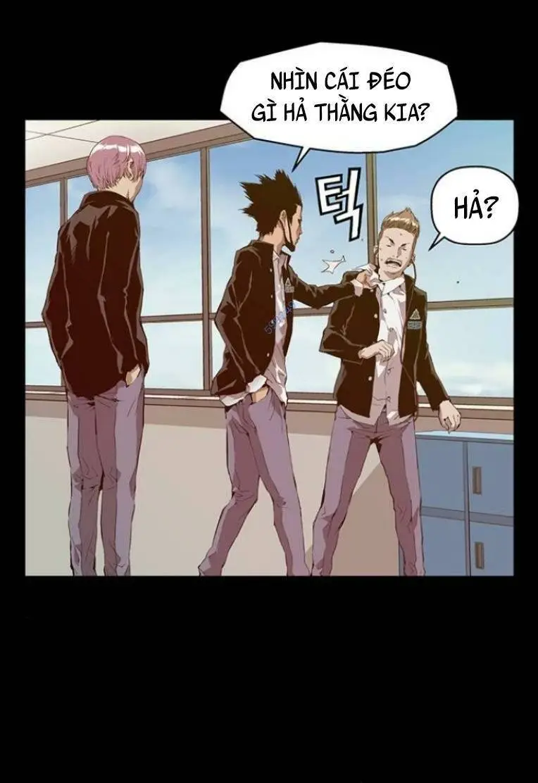 Chapter 239