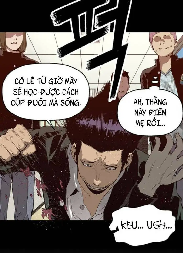 Chapter 239