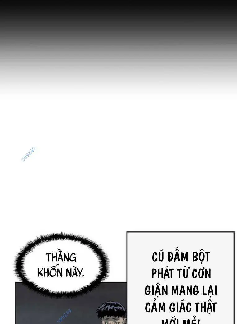 Chapter 239