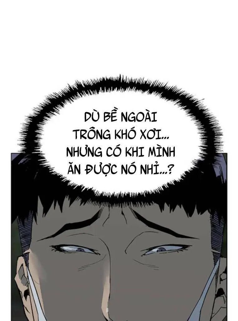 Chapter 239
