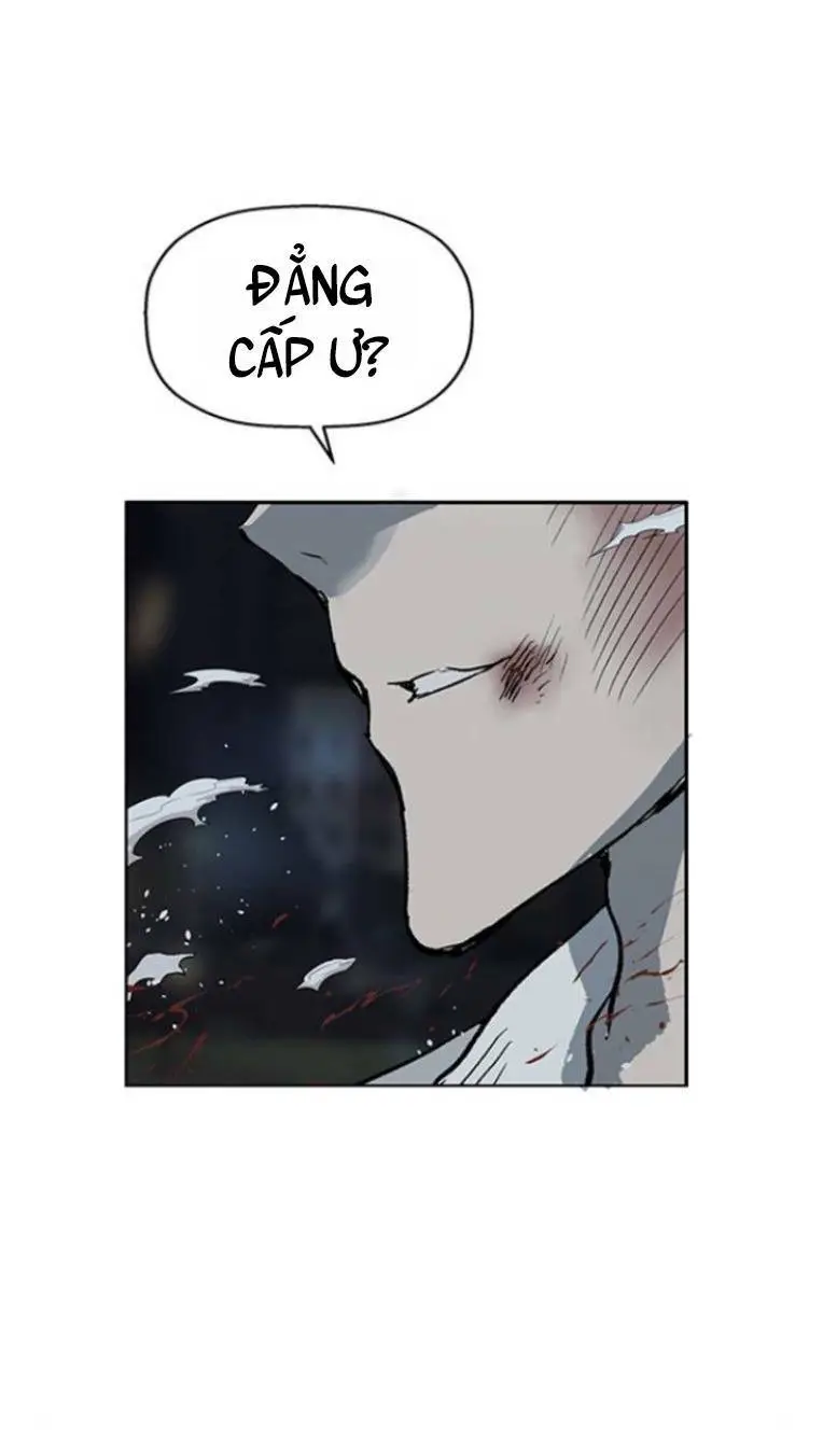 Chapter 238