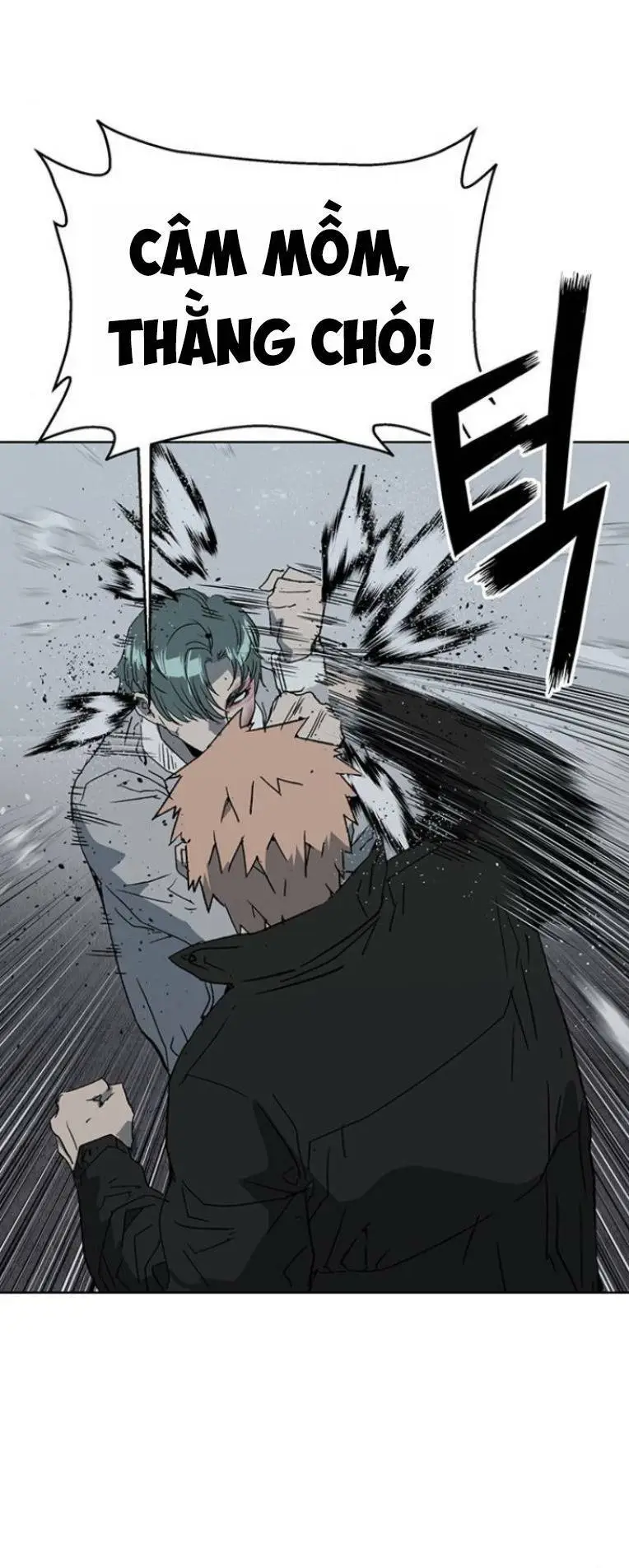 Chapter 238
