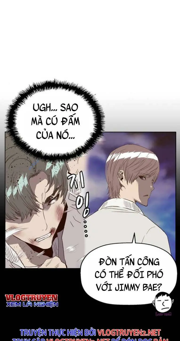 Chapter 238
