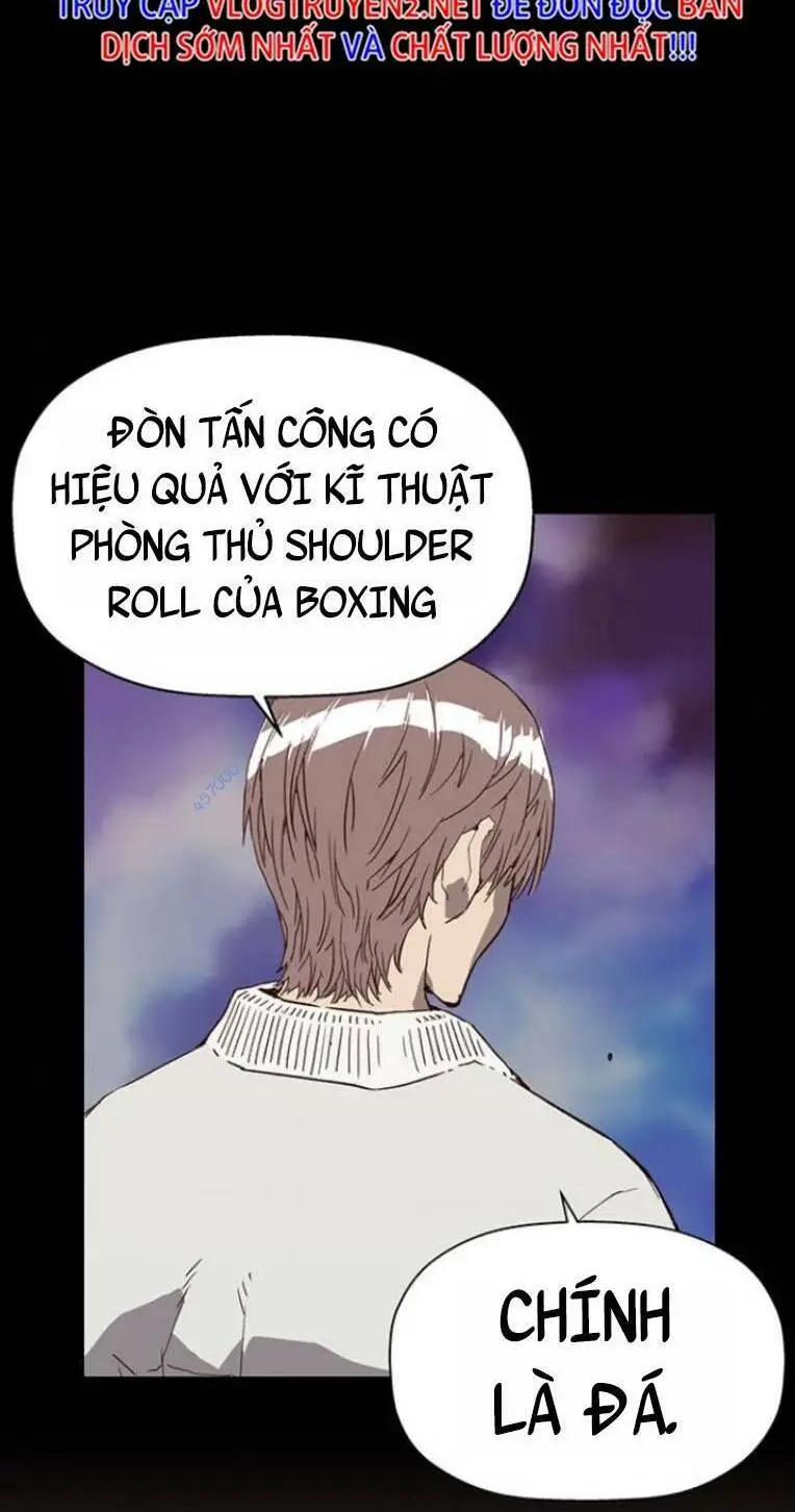 Chapter 238