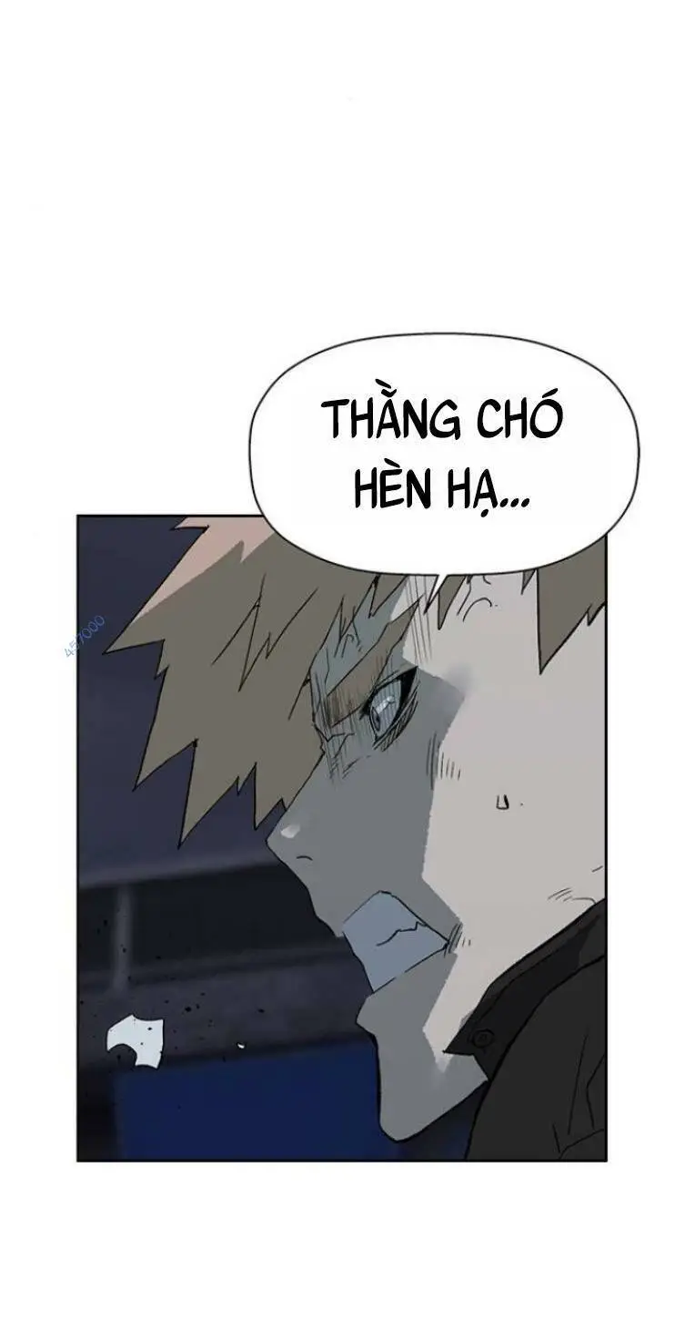 Chapter 238
