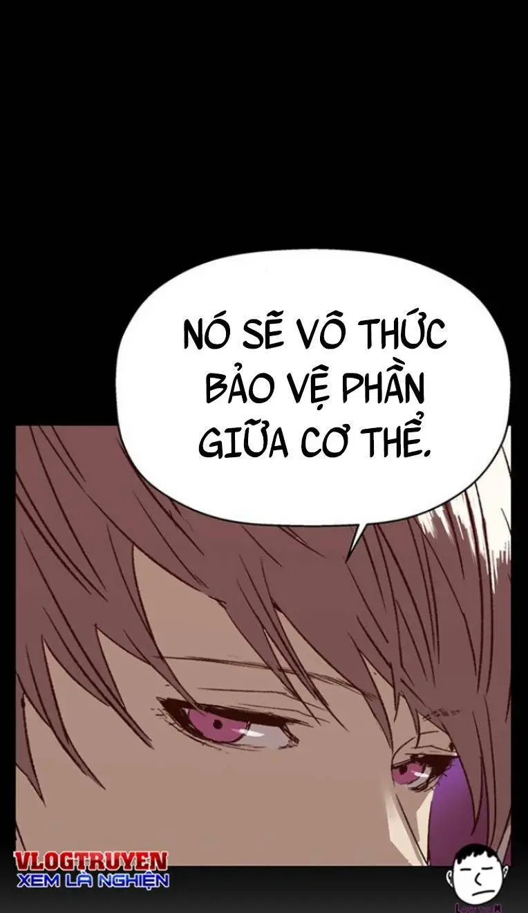 Chapter 238
