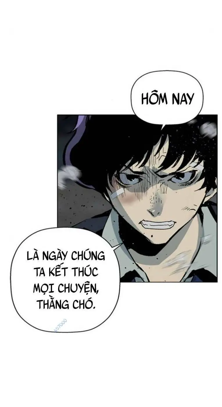 Chapter 237