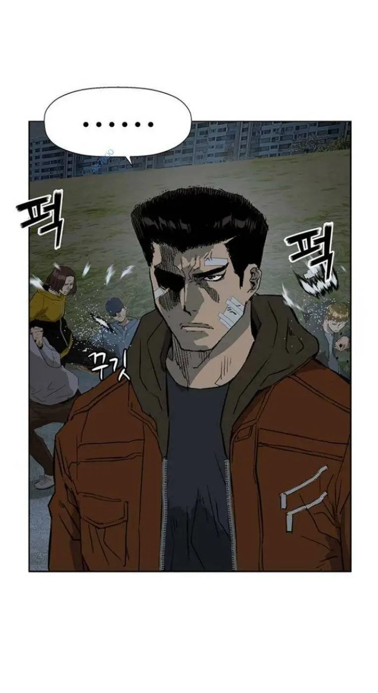 Chapter 237