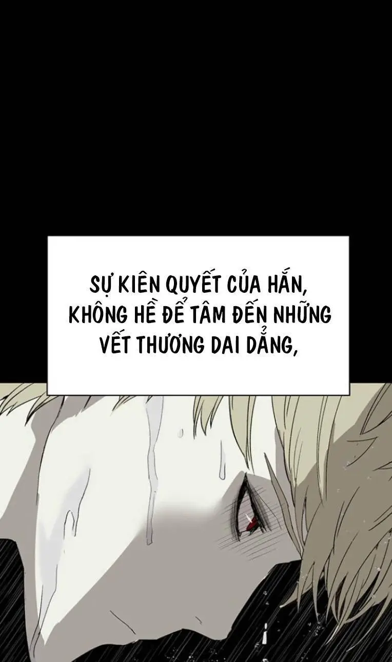 Chapter 236