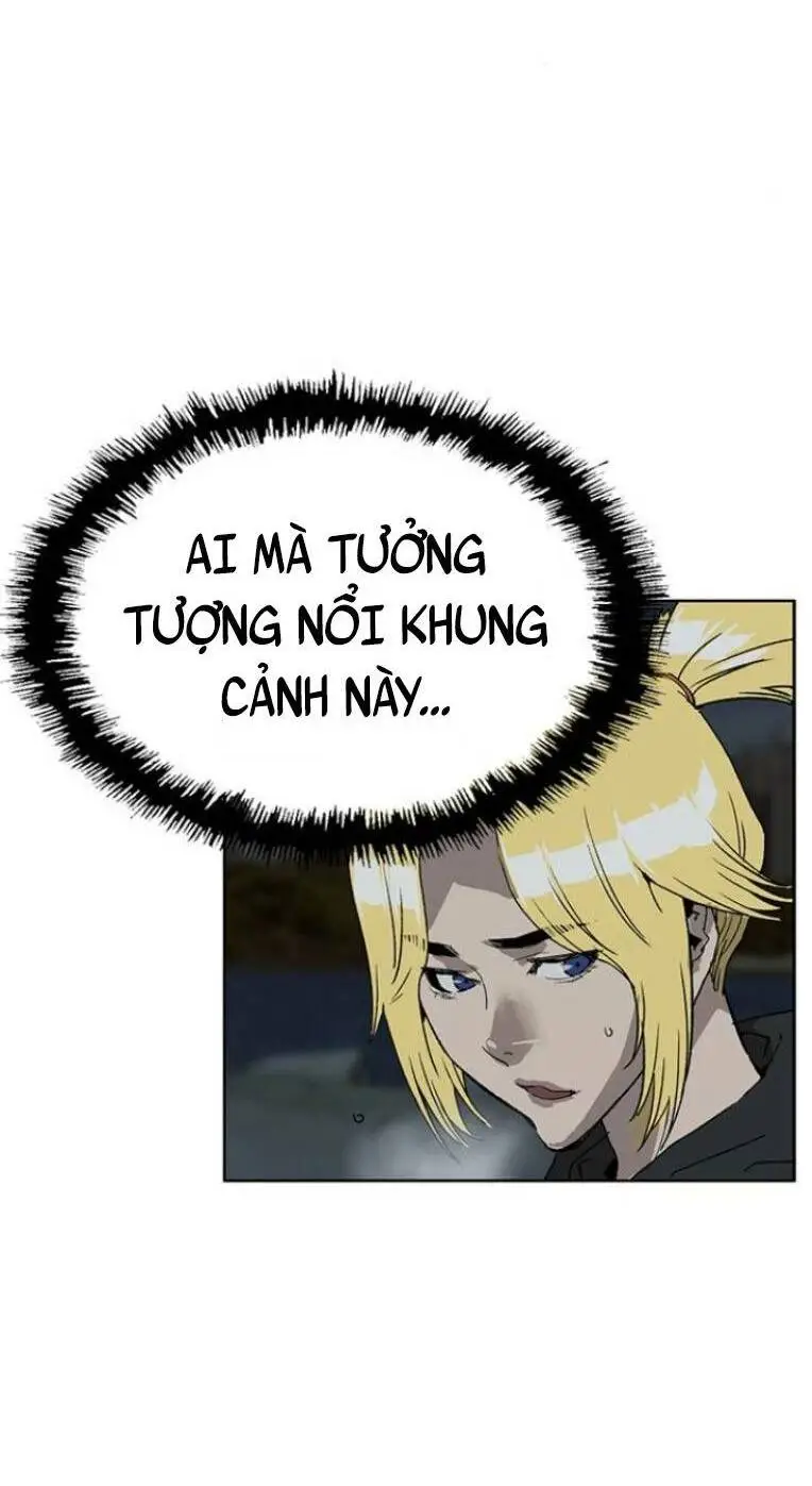 Chapter 236