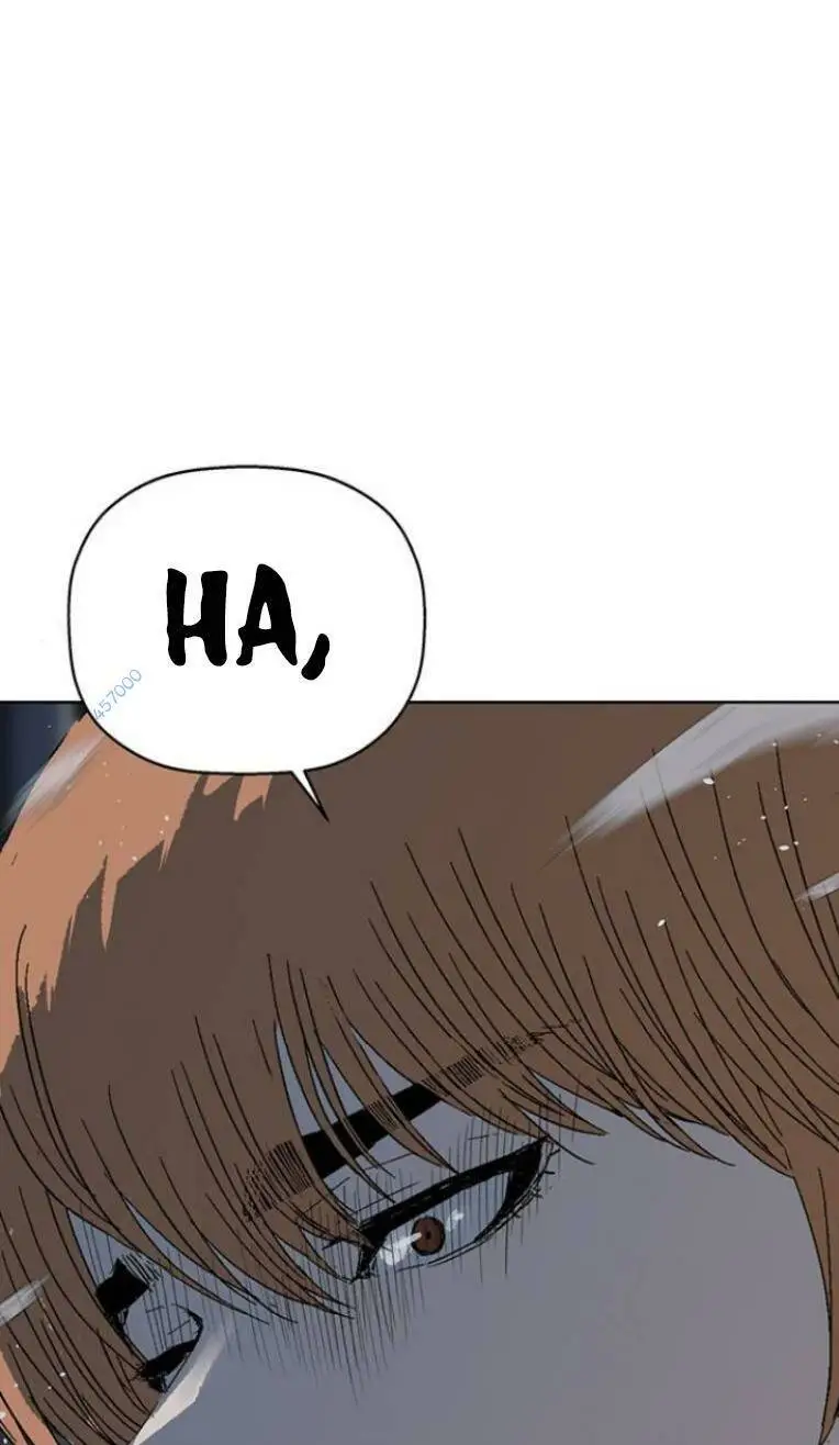Chapter 235