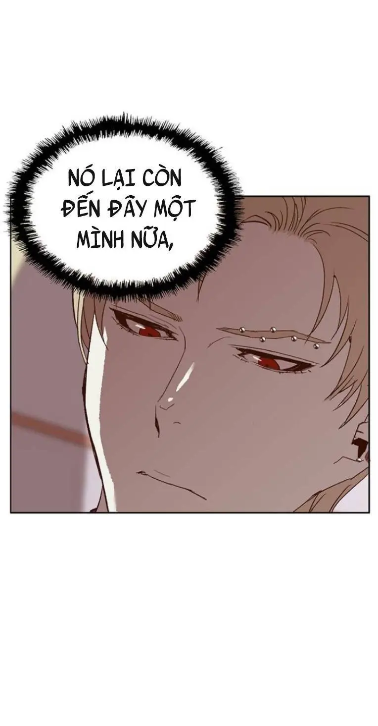 Chapter 232