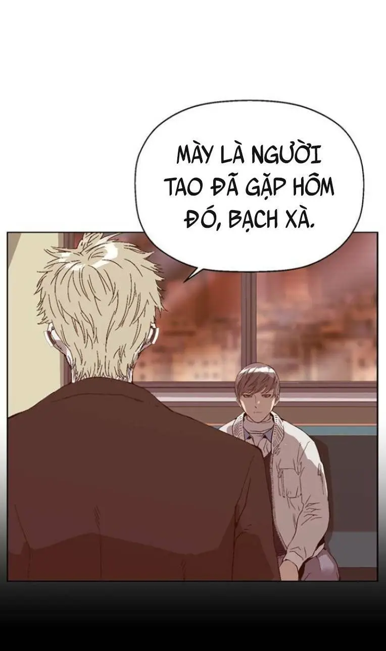 Chapter 232