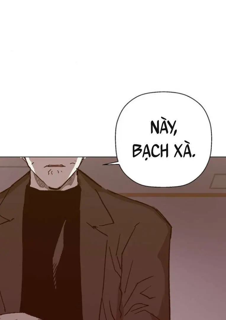 Chapter 232