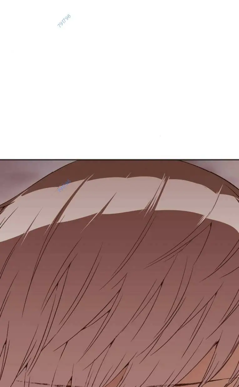 Chapter 231
