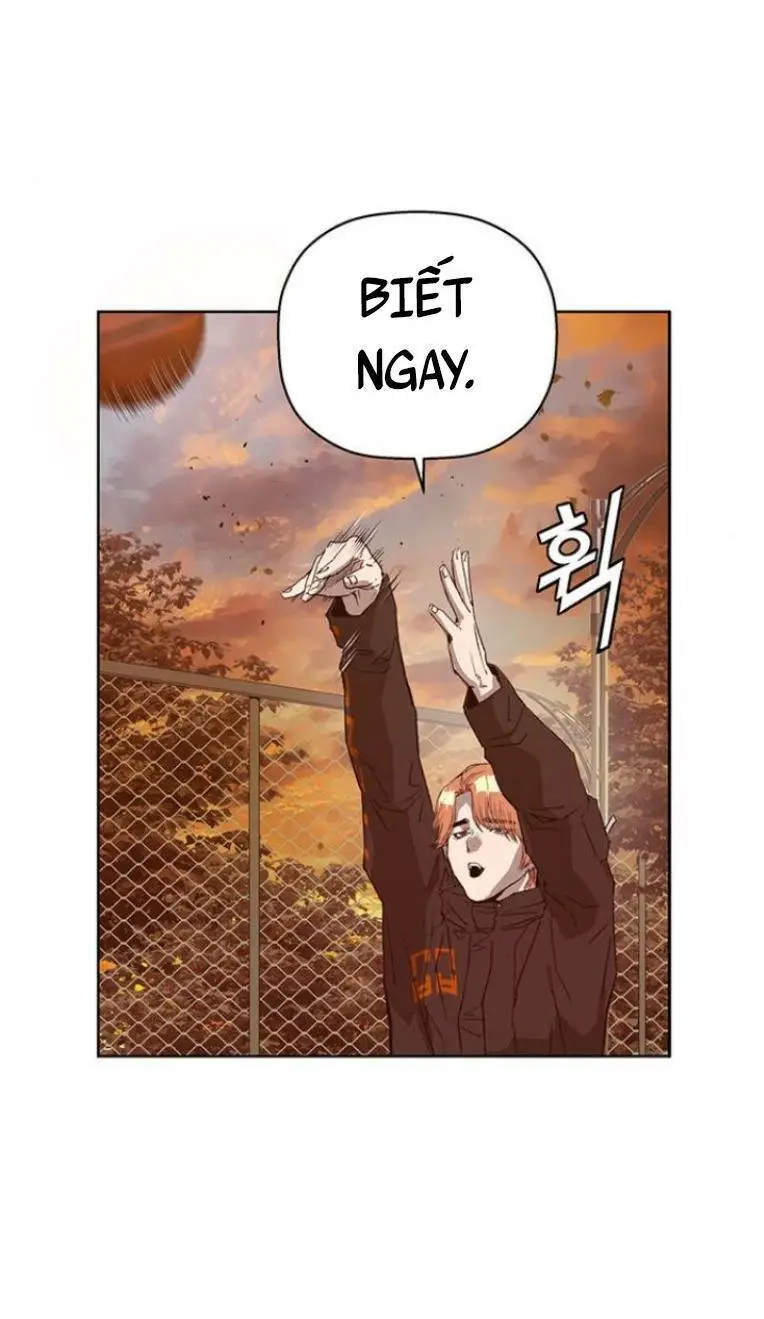 Chapter 231