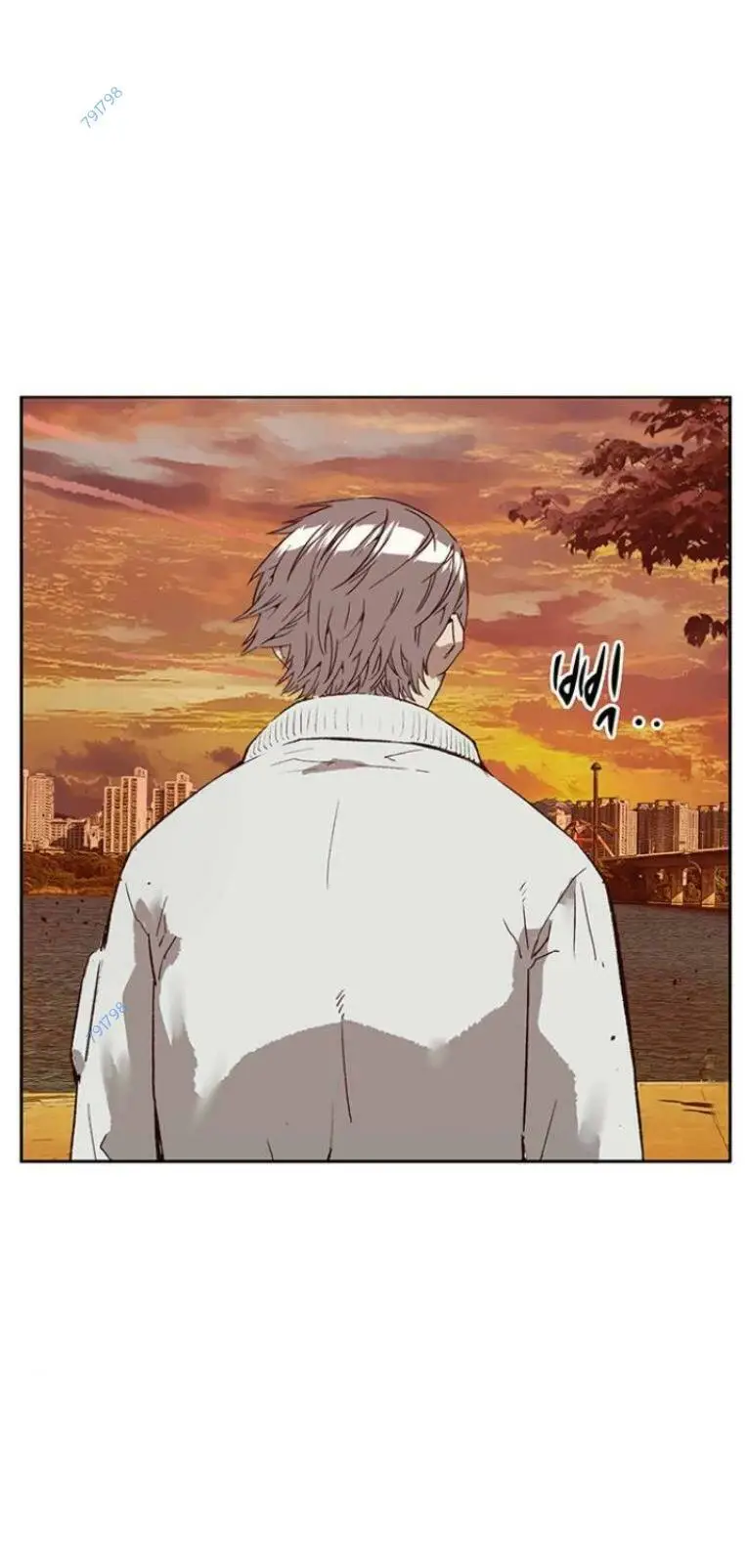 Chapter 231