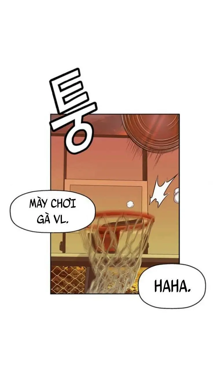 Chapter 231