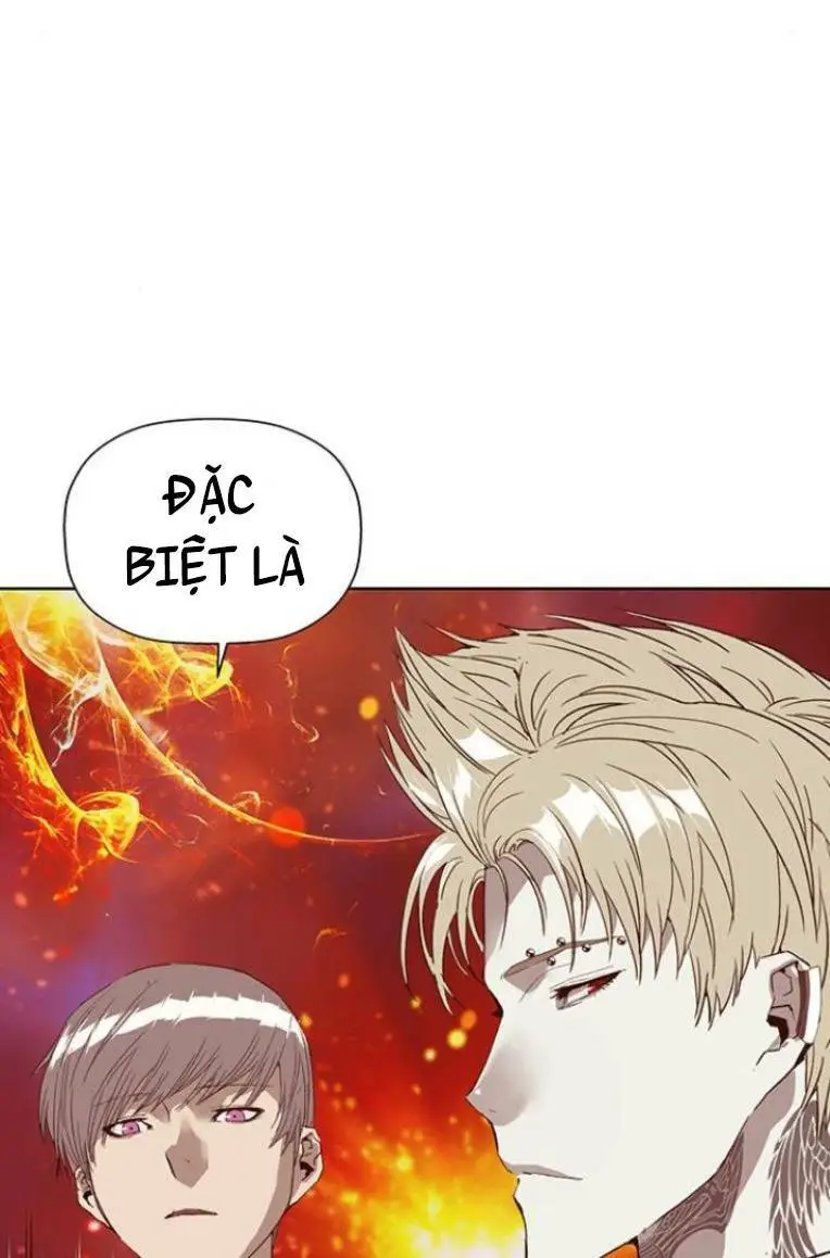 Chapter 230