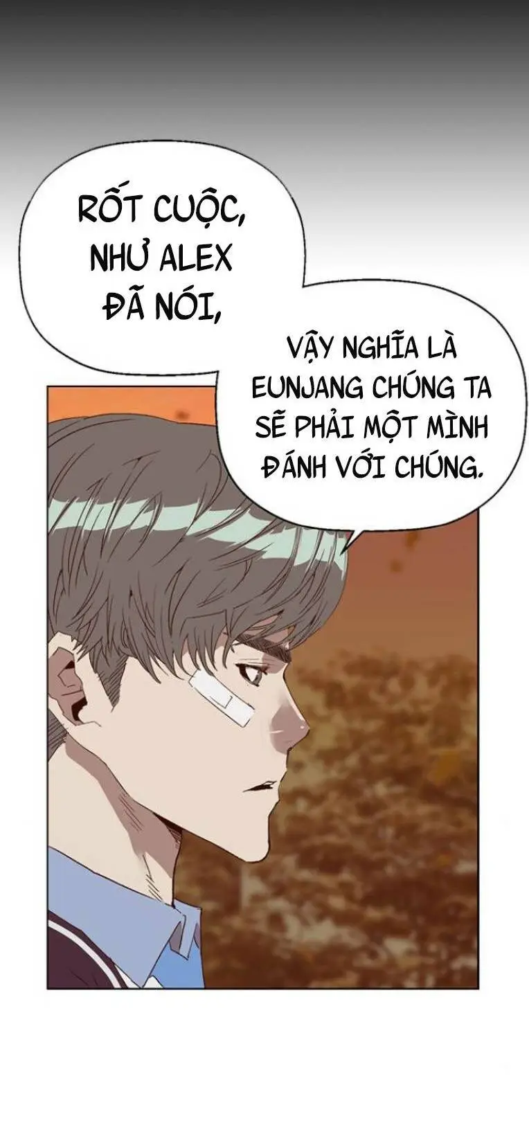 Chapter 229