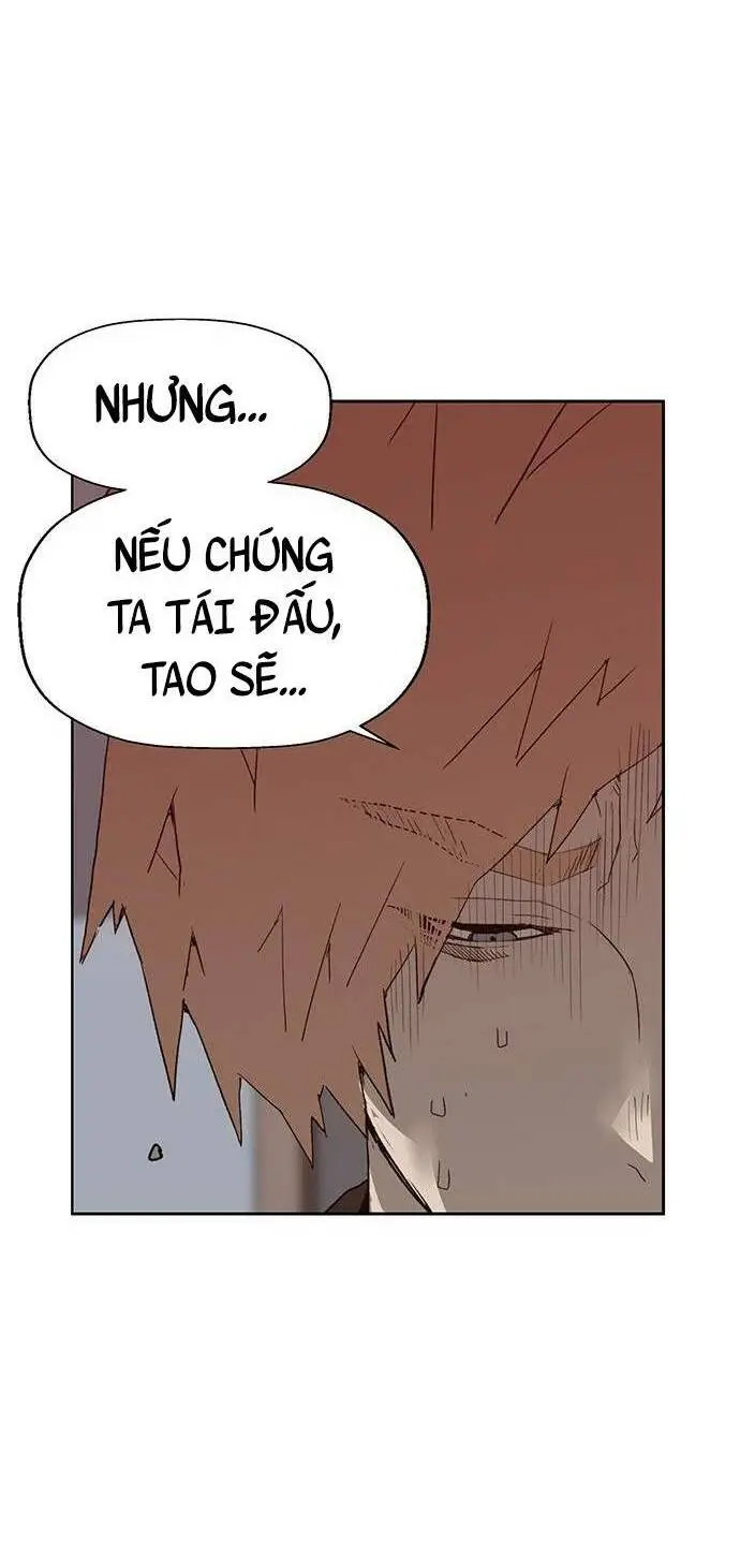 Chapter 228