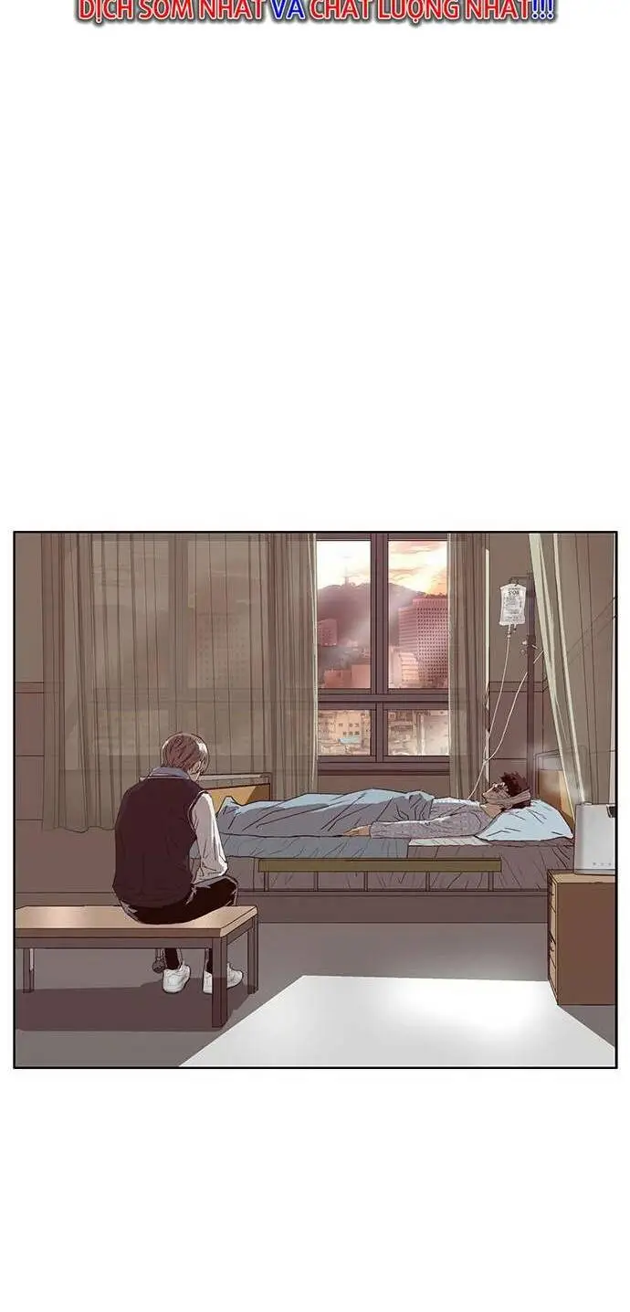 Chapter 228