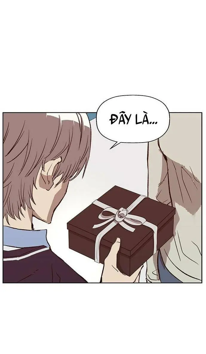 Chapter 228