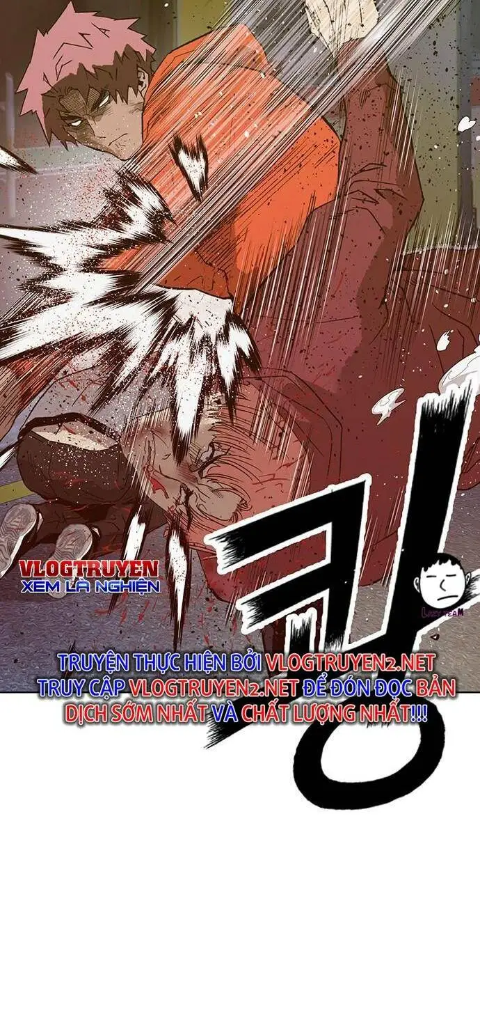 Chapter 226