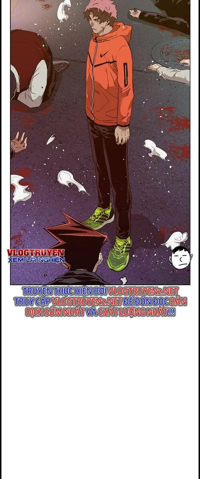 Chapter 226